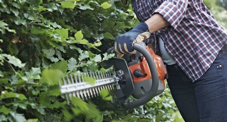 How To Use a Hedge Trimmer