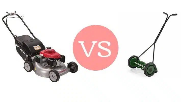 Self Propelled vs Push Mower