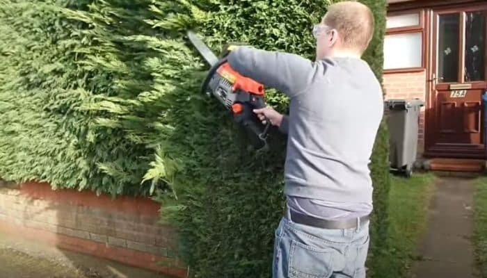 How To Cut A Hedge With A Chainsaw